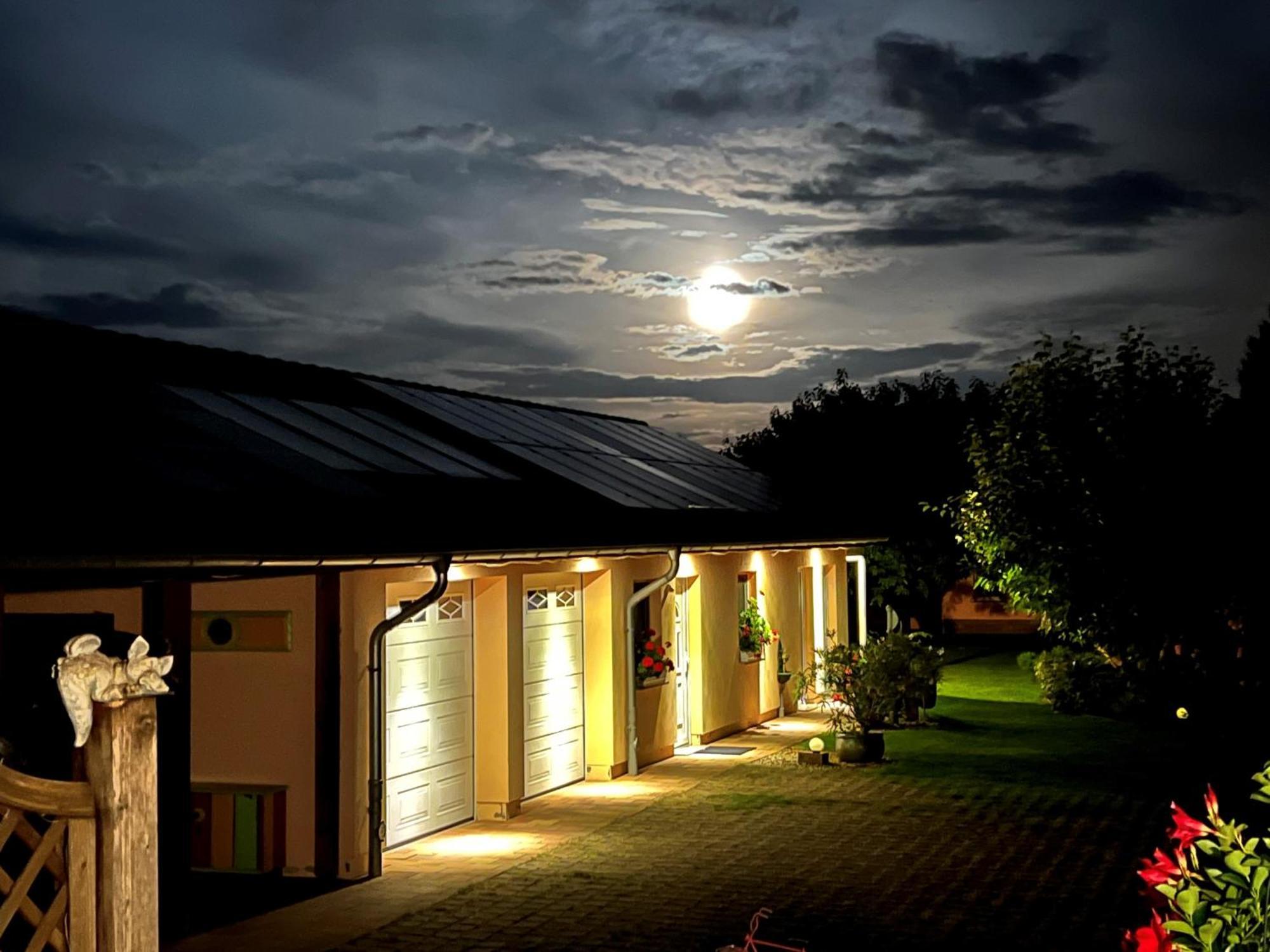 Ferienhaus Jasmin Neuruppin Dış mekan fotoğraf