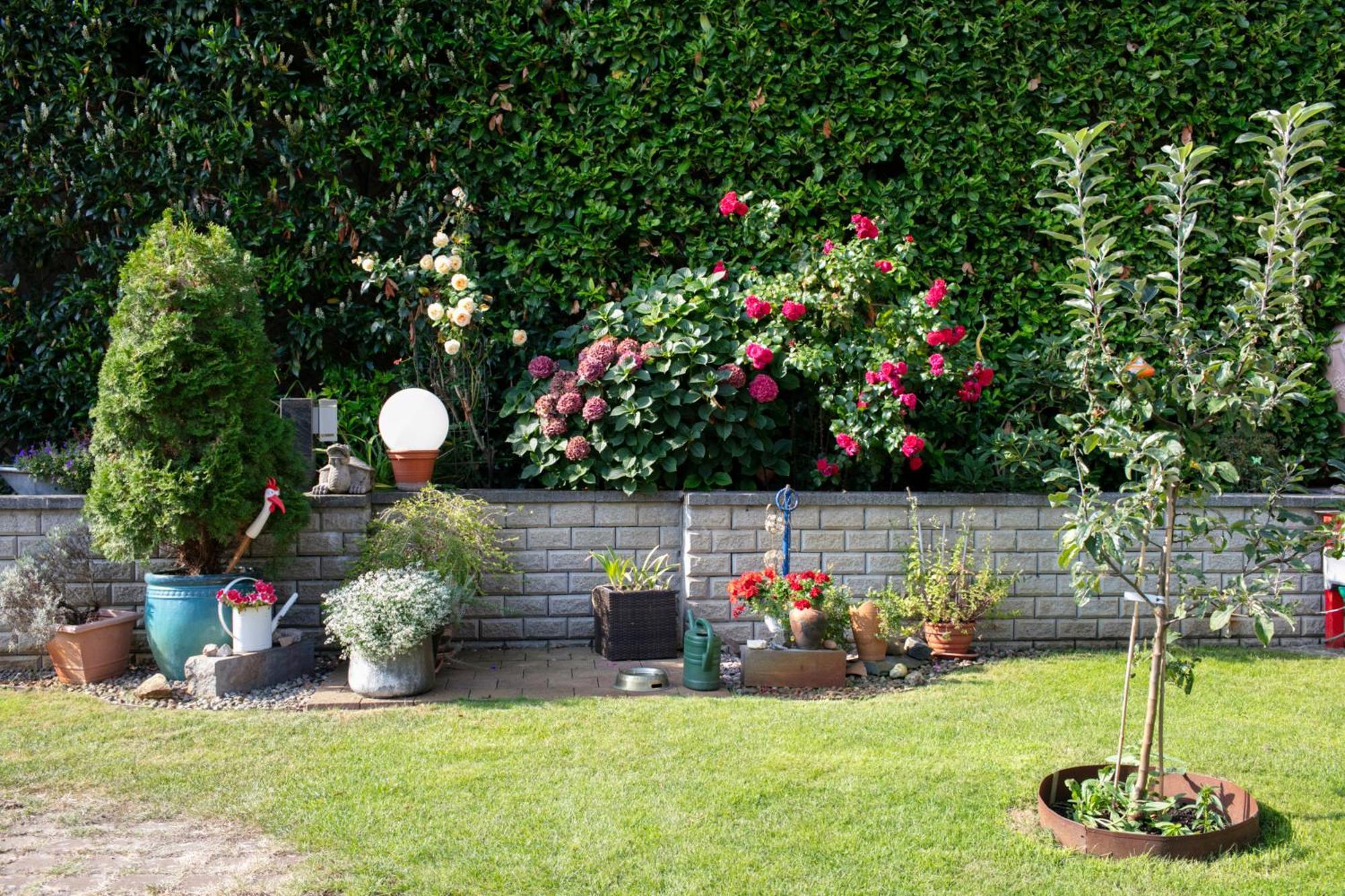 Ferienhaus Jasmin Neuruppin Dış mekan fotoğraf